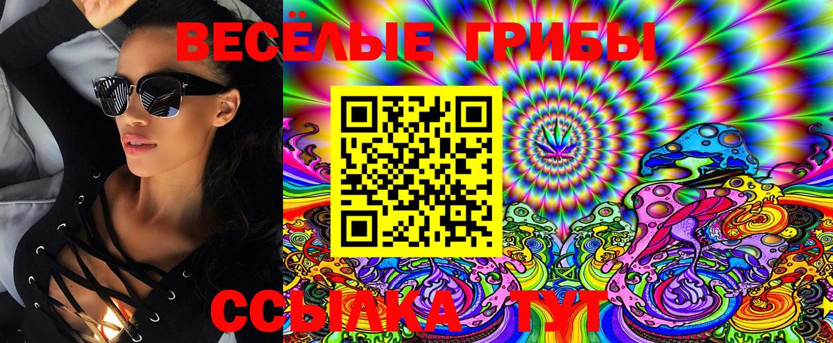 Псилоцибиновые грибы Psilocybine cubensis Медногорск